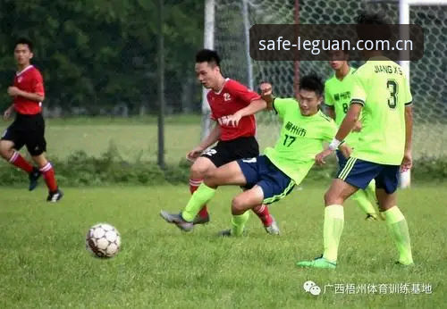 乐冠体育官网服务全面评测：从入口到体验，新手必读指南