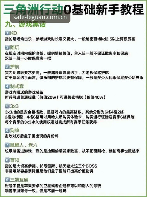 资深用户分享：乐冠国际安全通道的实战经验与快速访问技巧